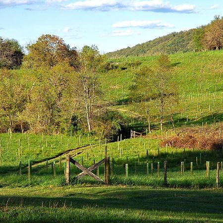 Walnut Run Farm Villa Woodville Екстериор снимка