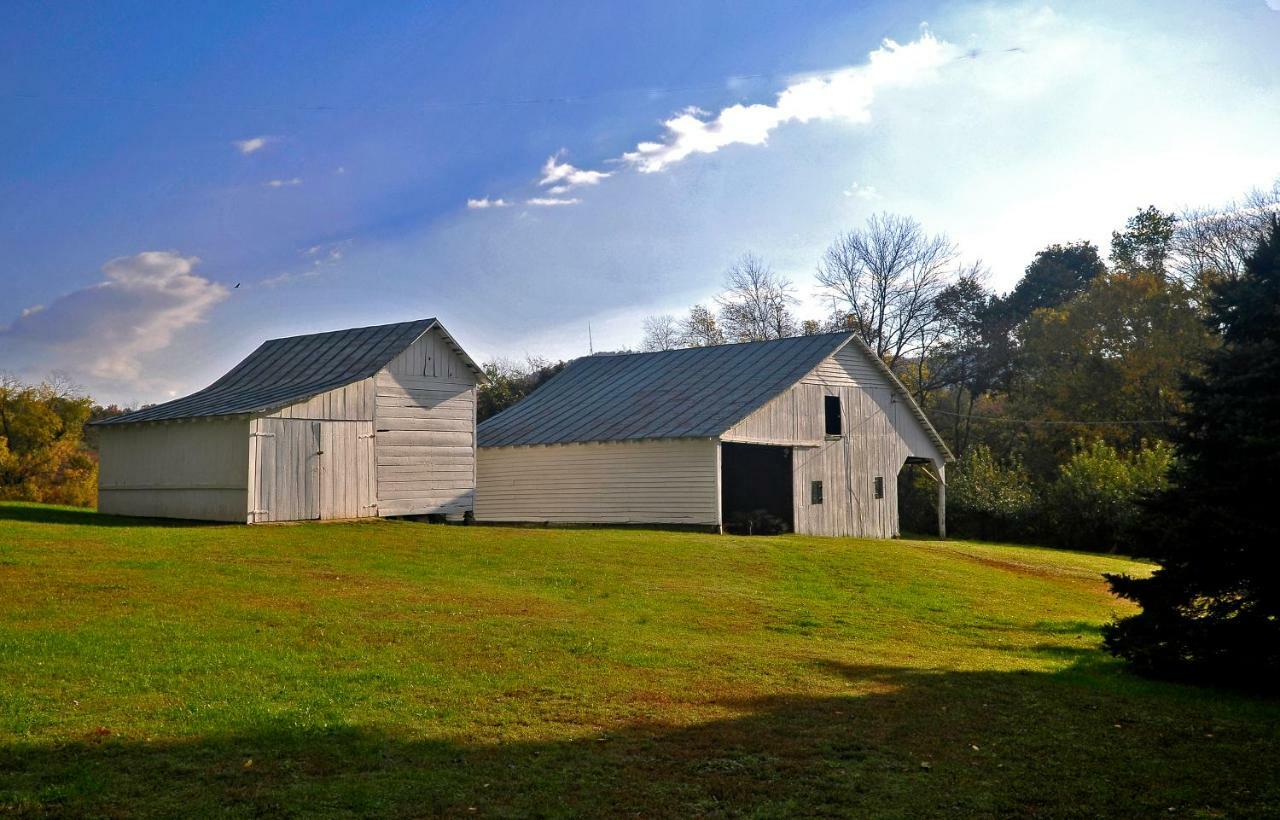 Walnut Run Farm Villa Woodville Екстериор снимка